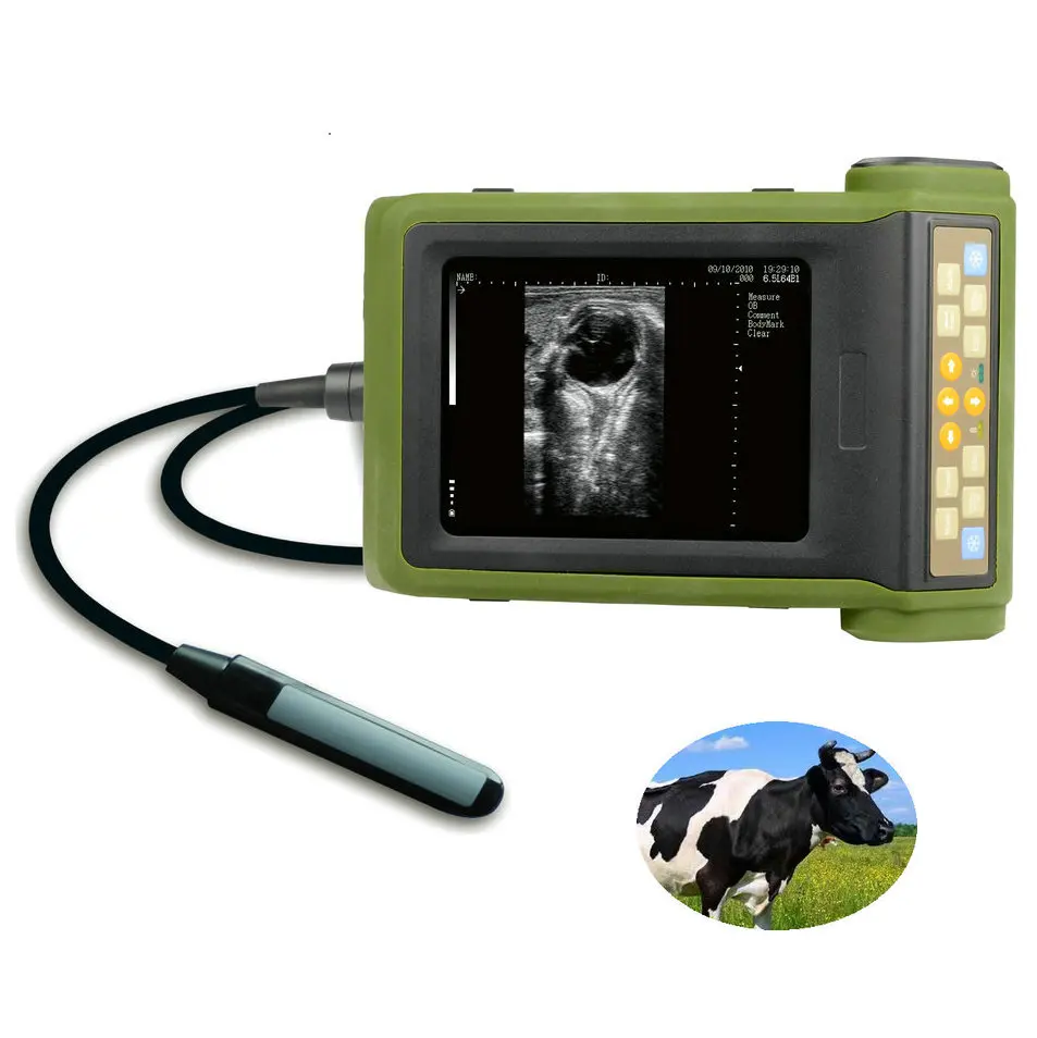 rku10 portable handheld bovine sheep veterinary ultrasound machine for pigs cows horse cattle animals