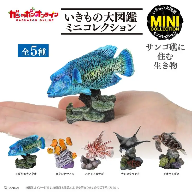

In Stock Bandai Gashapon Biological Encyclopedia Coral Reef Marine Life Figurines Ornament Gacha Toys Cute Creature Model Dolls