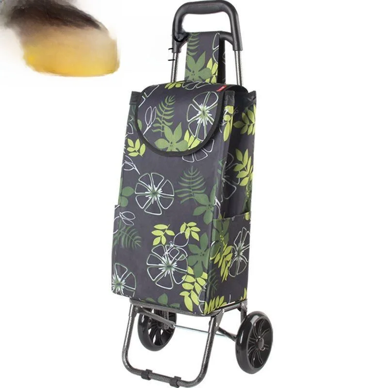 carrello-portatile-leggero-a-trazione-manuale-per-verdure-robusto-in-acciaio-inossidabile-pieghevole-con-manico-retrattile