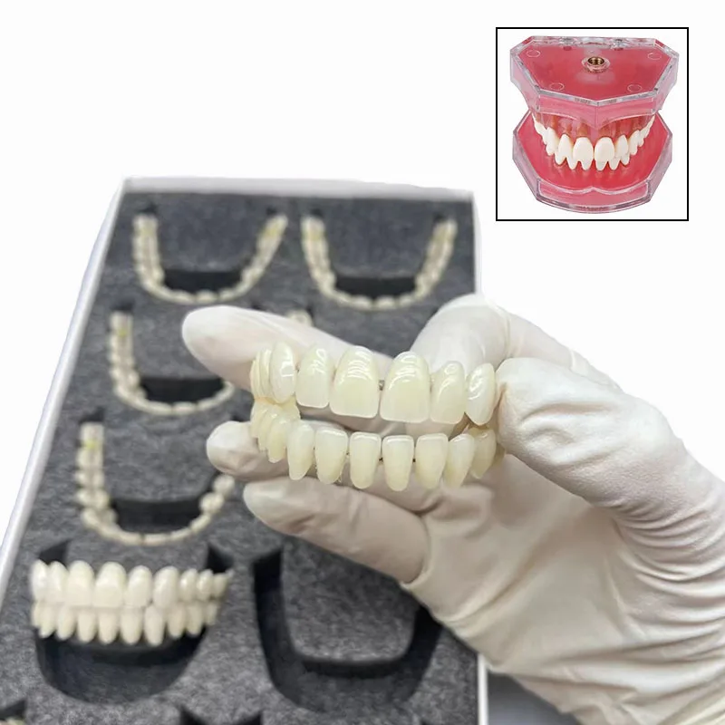 1/10 Pairs Resin False Teeth Temporary Fake Tooth Upper Lower Removable Durable Dentures Whitening Dentures Dental Material