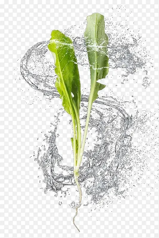 SCY 18101 18103 18101PRO 18103PRO Brazo oscilante inferior trasero Repuestos de coche RC