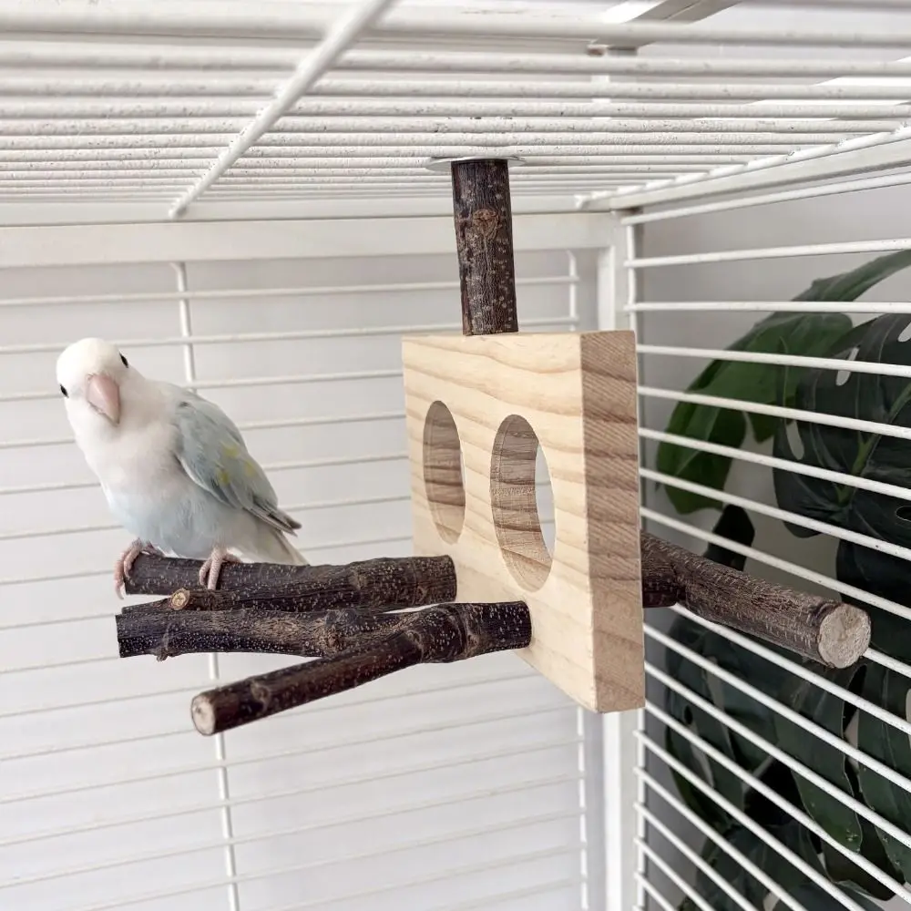 Natural Wood Bird B…