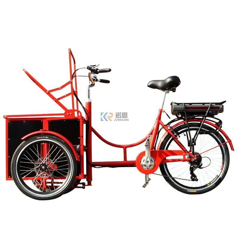 Retro Mini Cargo Bike Electric Tricycle Family Cargo Bike 3 Wheels Kids Cargo Electric Bike with Carriagr Deliovery Bike