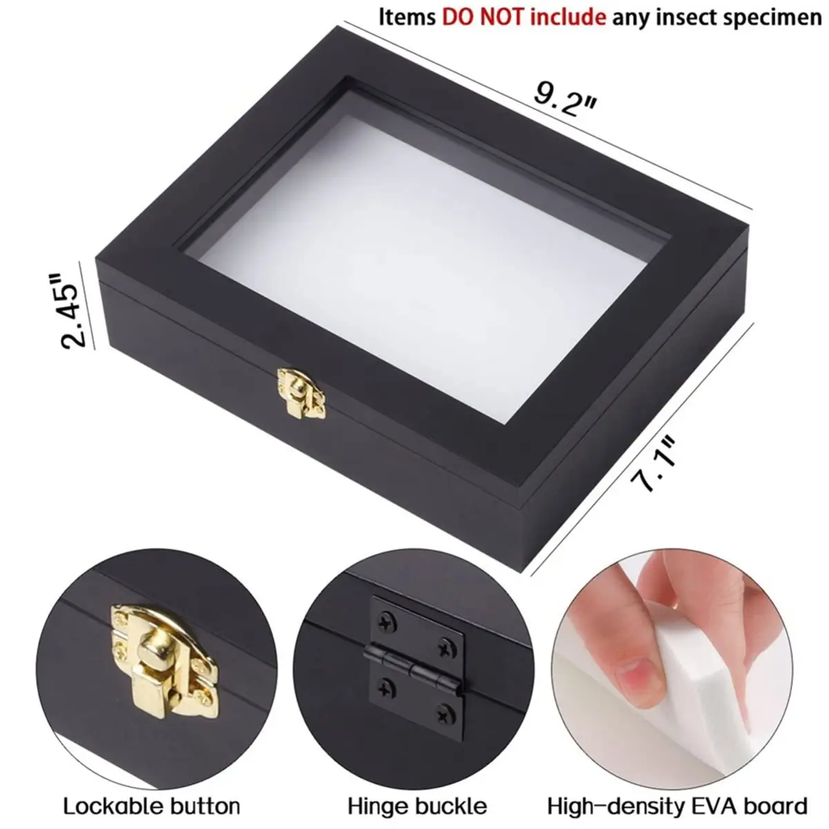 Insect Display Case Bug Display Case Shadow Box Wall Mount, Anti Fade UV Protection Acrylic Top, Eva Foam Pinning Board