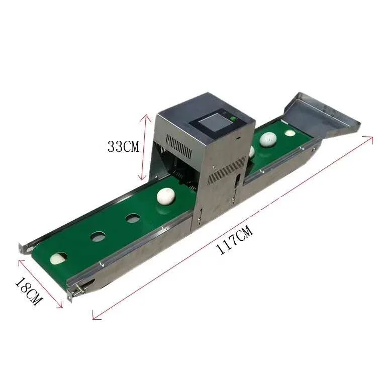 Single Head TIJ Inkjet Coding Printer, Food Grade Edible Ink Expiry Date Batch Code Logo Marking Machine for Poultry