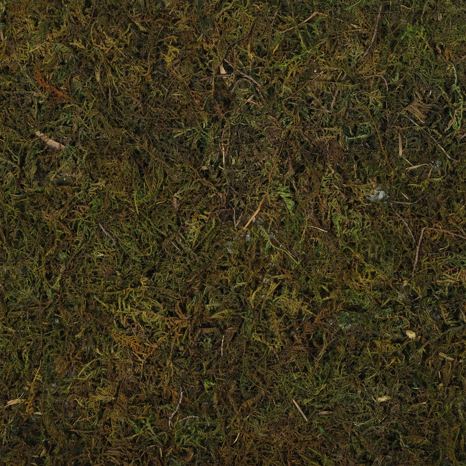 

Artificial Moss Micro Landscape Accessory Durable Fake Moss Turf Decorative Artificial Lawn for Bonsai Succulent Mini Garden