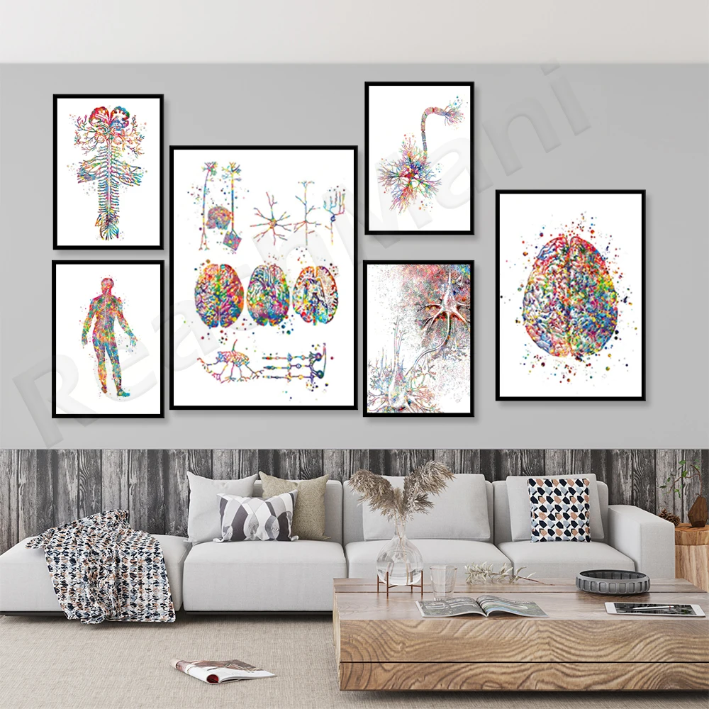 

Neuroscience art neurology anatomy brain nervous system neuron cell synapse poster, neurologist office clinic wall decoration