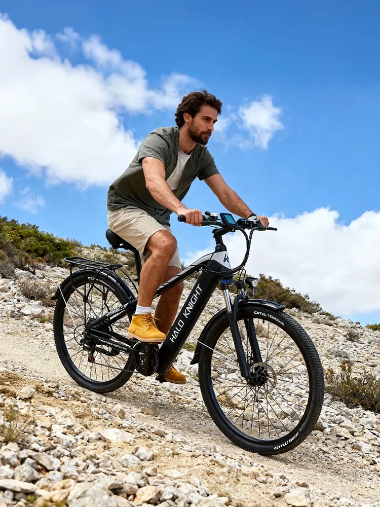 HALO KNIGHT H02 Top Elektrische Fiets Volwassenen 29 Inch E-bike 48V 750W 16AH E-bike Gratis Verzending 50KM/H Snelle E-bike Goedkope Elektrische Fiets - afbeelding 2