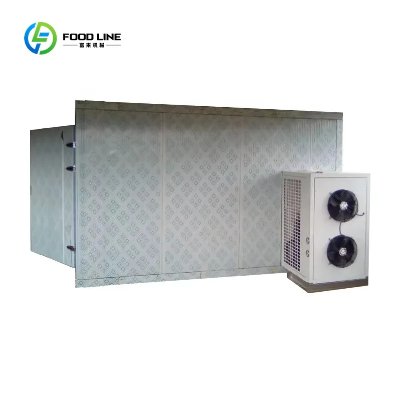 Customized 60CBM Walk in Freezer -18 Degree Cold Room Manufacturer for Fish and Seafood and Chicken Meat Container Storage