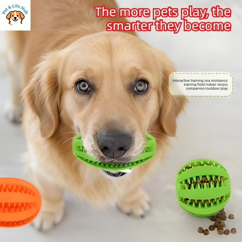 Juguetes para perros Bola de fuga molar para aliviar el aburrimiento Bola elástica duradera y fácil de morder juguetes para mascotas productos para mascotas tout pour chien