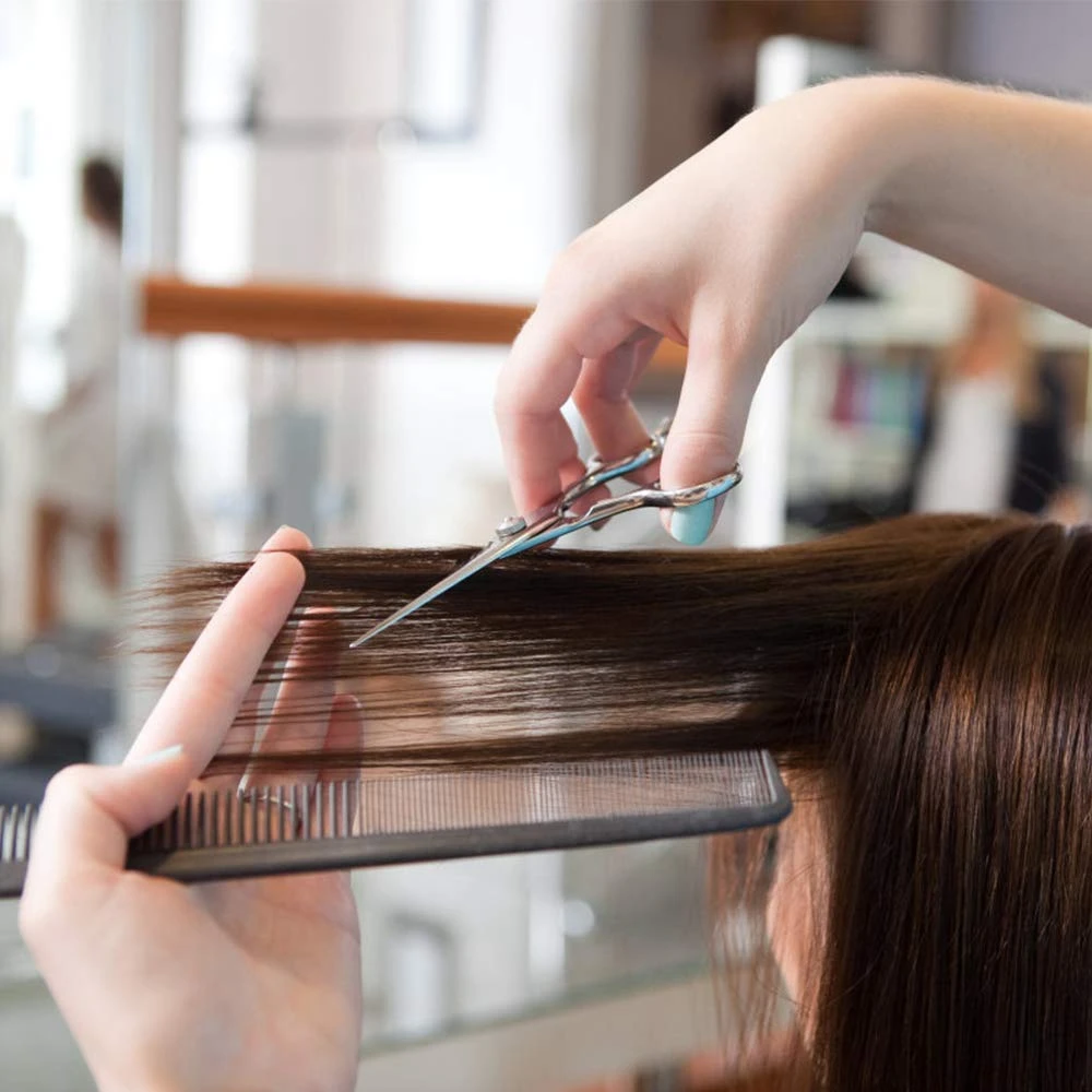 Ensemble de ciseaux à cheveux professionnels, cisailles à couper les cheveux, cisailles à effiler, peigne à cheveux, pinces pour salon à domicile