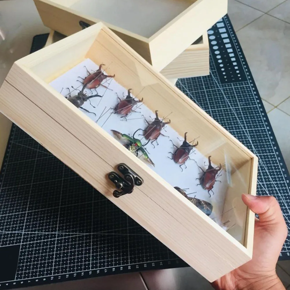 

Transparent Specimen Storage Box Premium Wooden Display Case for Insect Butterfly Collection Dust Resistant Desktop Ornament