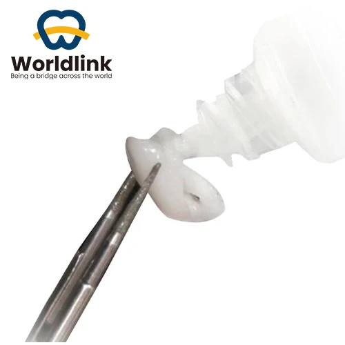 10 Pieces Fix Firing Paste for Dental Lab Sintering Furnace Supporting Zirconia Or Glass Ceramic Restoration