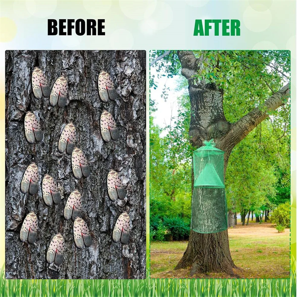 NOCM 4 Pack Spotted Lanternfly Traps Lantern with Rope and Nails Effective Way to Catch Lantern Flies and Nymphs Set 1