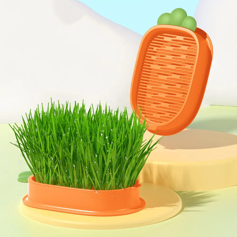 

Коробка для выращивания кошачьей травы без почвы, гидропонная, практичная, двухслойная, удобная, для рассады кошачьей мяты, домашняя, для выращивания кошек