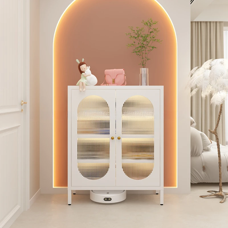 Cute Modern Shoe Cabinet Household Storage Designer Organizer Shoe Cabinet Space Saving Armoire A Chaussures Home Furniture