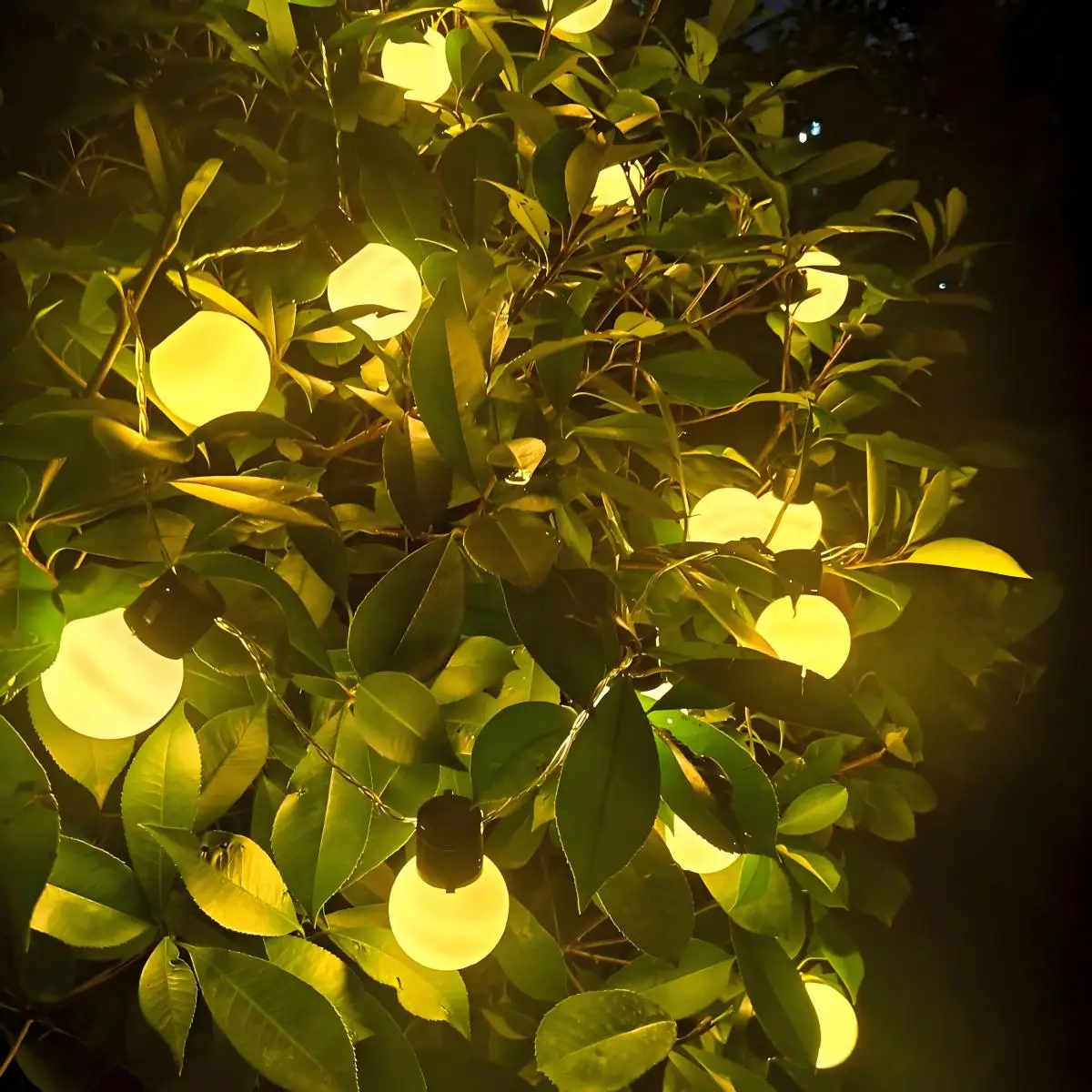 Dekorasi Natal-Lampu String LED (Dioperasikan dengan Baterai) Lampu String Peri LED Bohlam Globe G50 Lampu Luar Ruangan Jalan Pernikahan Taman Halaman Lampu Dekoratif Natal