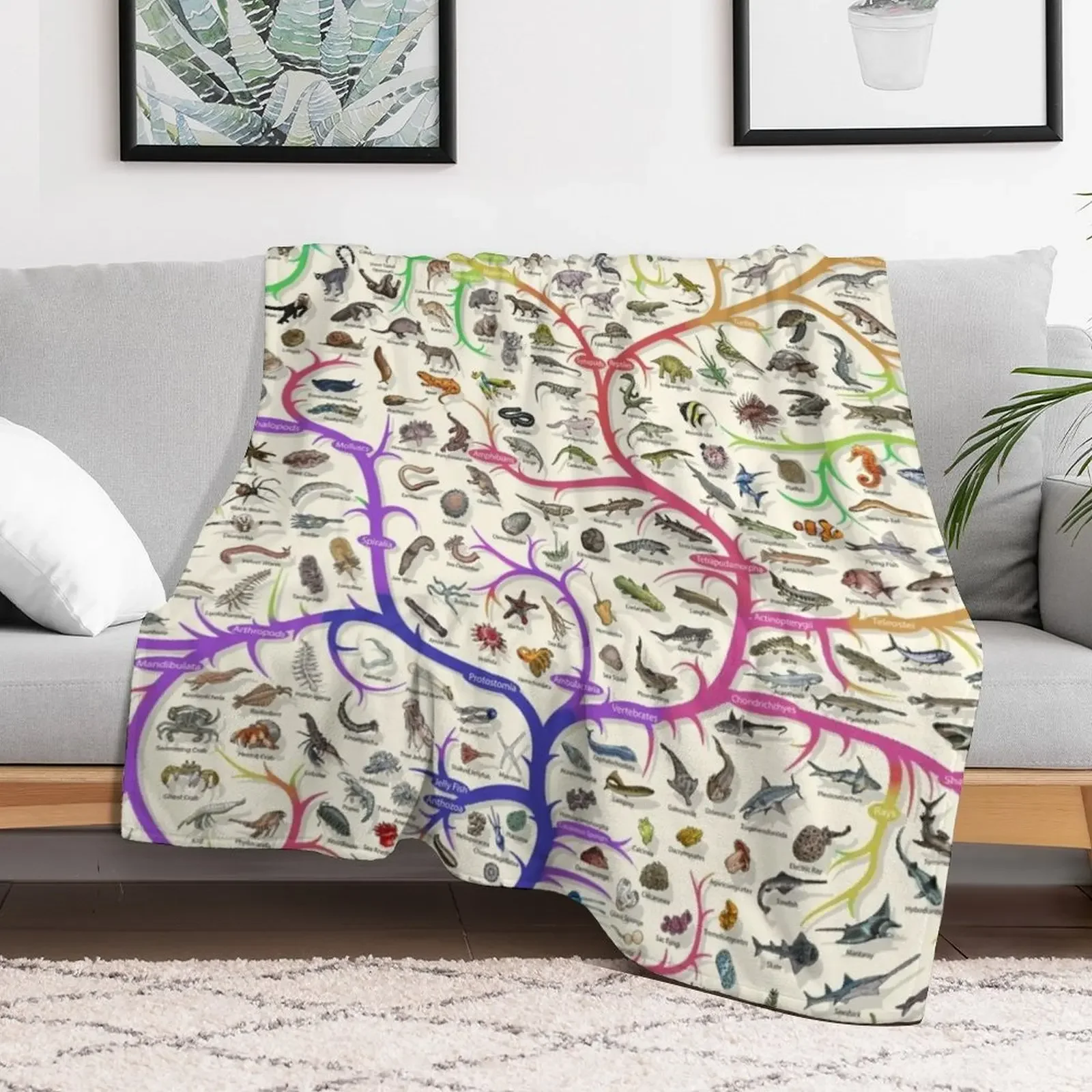Animal Tree of Life Poster - Evolution - Colour (English Annotations) Throw Blanket Stylish Warm Blanket for Living Room Bedroom
