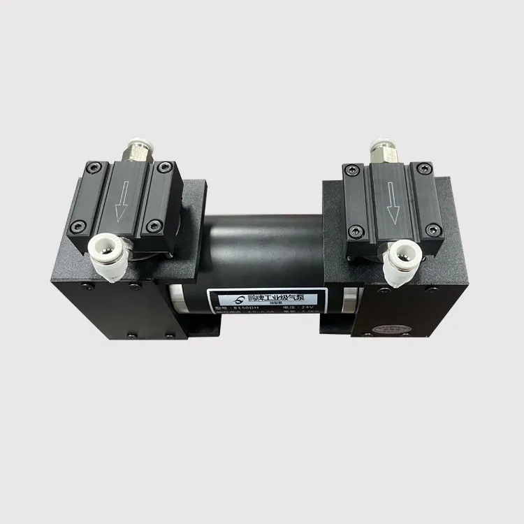 Mini Piston Oil-free Air Compressor DC Electric Pressure Pump Auto Start Stop Inflation Small Air Pump