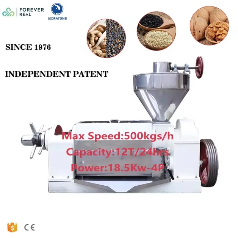 

New Type Seed Oil Extraction Machine Oil Expeller For Seeds Big Capacity Cold Coconut Oil Press Machine