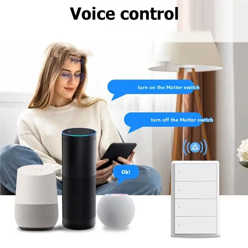 ABRU-Tuya Wifi Smart Light Switch Support Switch Voice Control Google Home Work For Smart Life Homekit