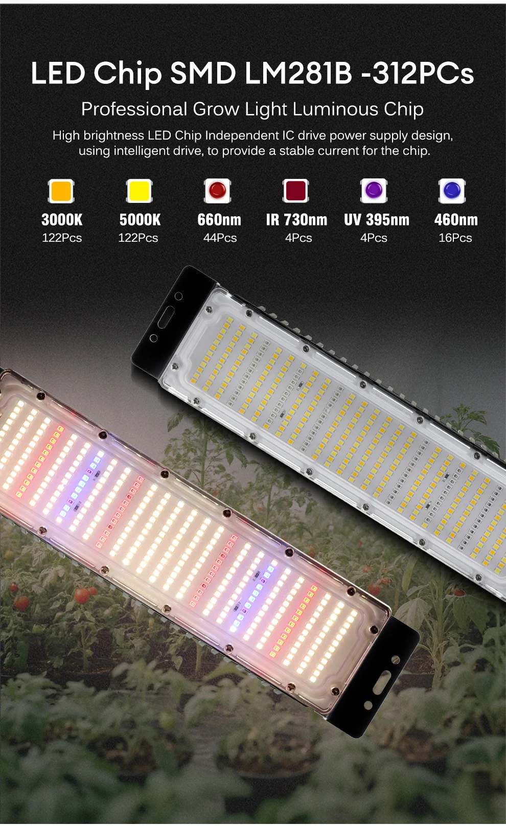 50W LM281B Vollspektrum-Quantum-Board LED-Pflanzenlampe AC110/220V mit Treiberschalter für Gewächshaus-Hydrokulturpflanzen – Detail 3
