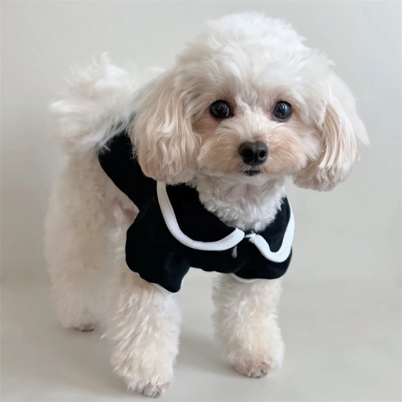 

Черная блузка для собак с бантиком из ленты. Годовая стильная милая одежда для щенков для маленьких собак. Средние собаки. Одежда для кошек. Одежда для собак.