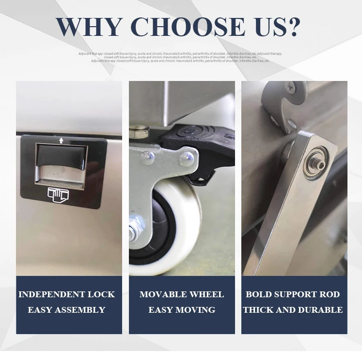 DZ500/2SB Brother Double Chamber Plastic Bag Fish Meat Food Nitrogen Gas Flush Vacuum Sealing Packing Machine