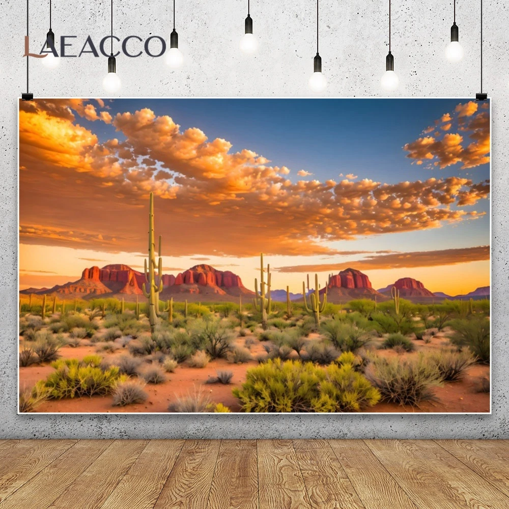 Western Desert Cactus Photography Background Sunset Glow Landscape Mountains Blue Sky Backdrop Room Wall Decor Photo Studio Prop