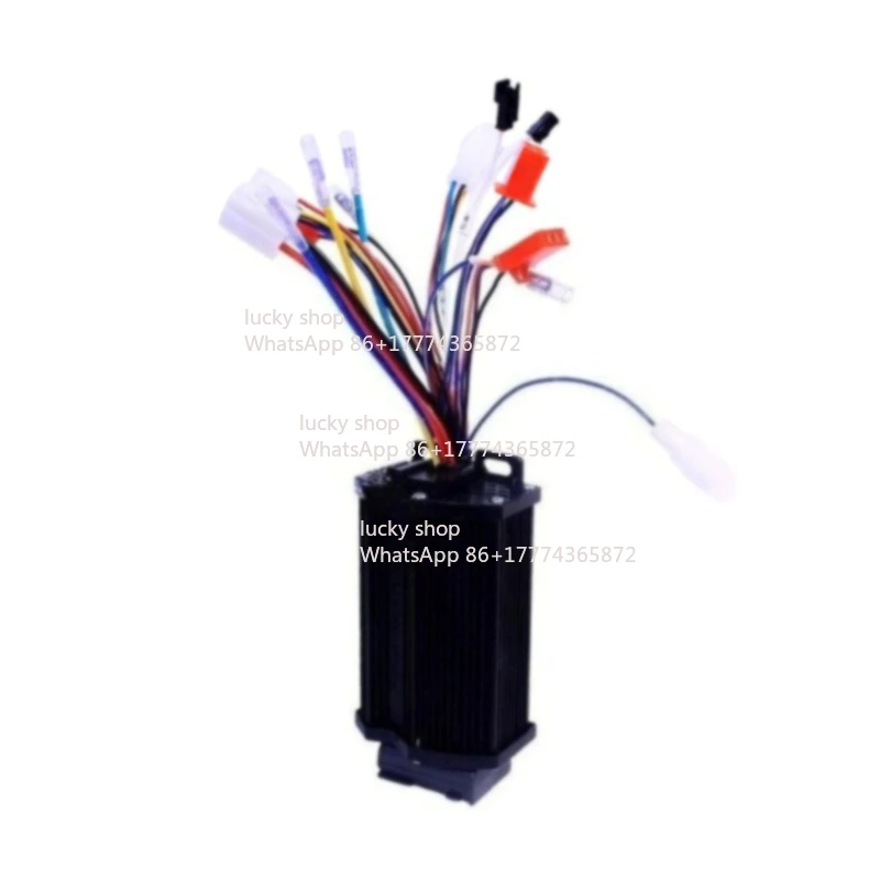 Sine Wave Ultra-quiet 6-tube 36V48V60V350W400W Black Gold Version