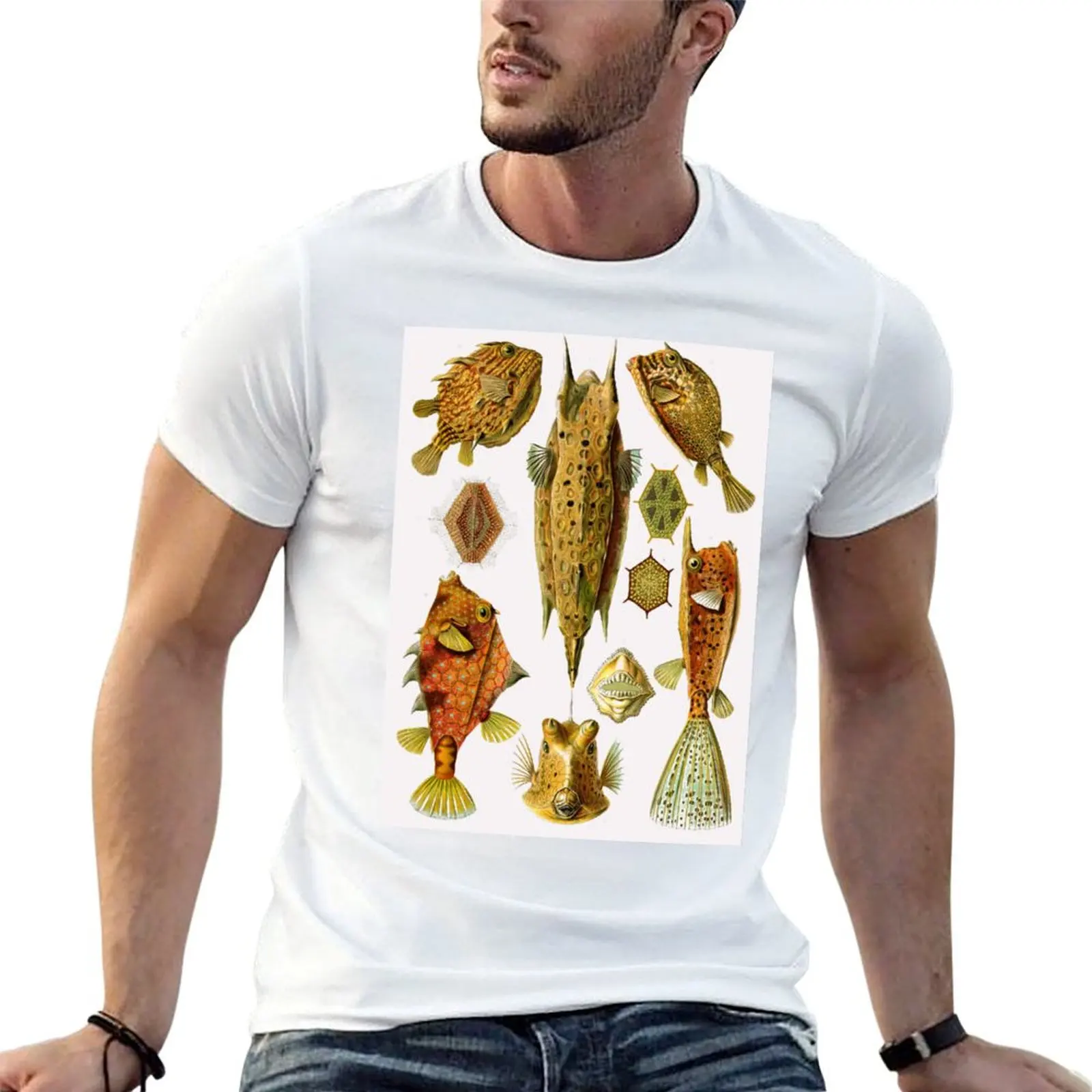 

Plate 42. Ostraciontes, the old name for boxfish, or cowfish. T-Shirt t shirts for man pack white T-Shirt