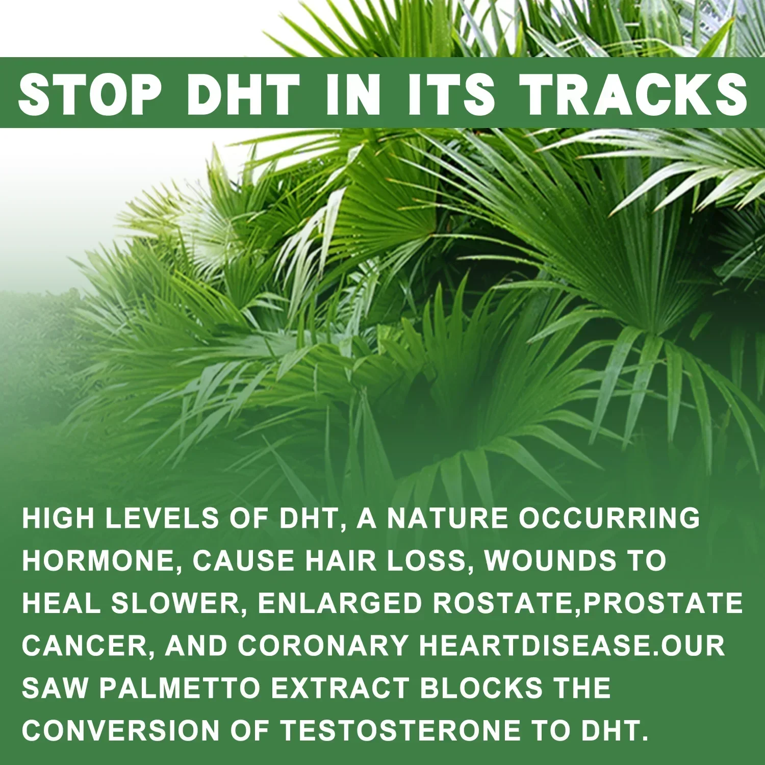 Saw Palmetto - Help Promote Prostate Health, Reduce Baldness and Thinning Hair, Urinary System Health