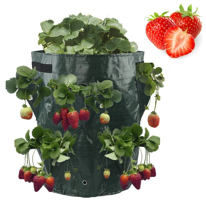 

Multi-Mouth Grow Bag 5/7/10 Gallons for Strawberry Tomato Planting - Reusable Gardens Balconies Flower Herb Planter