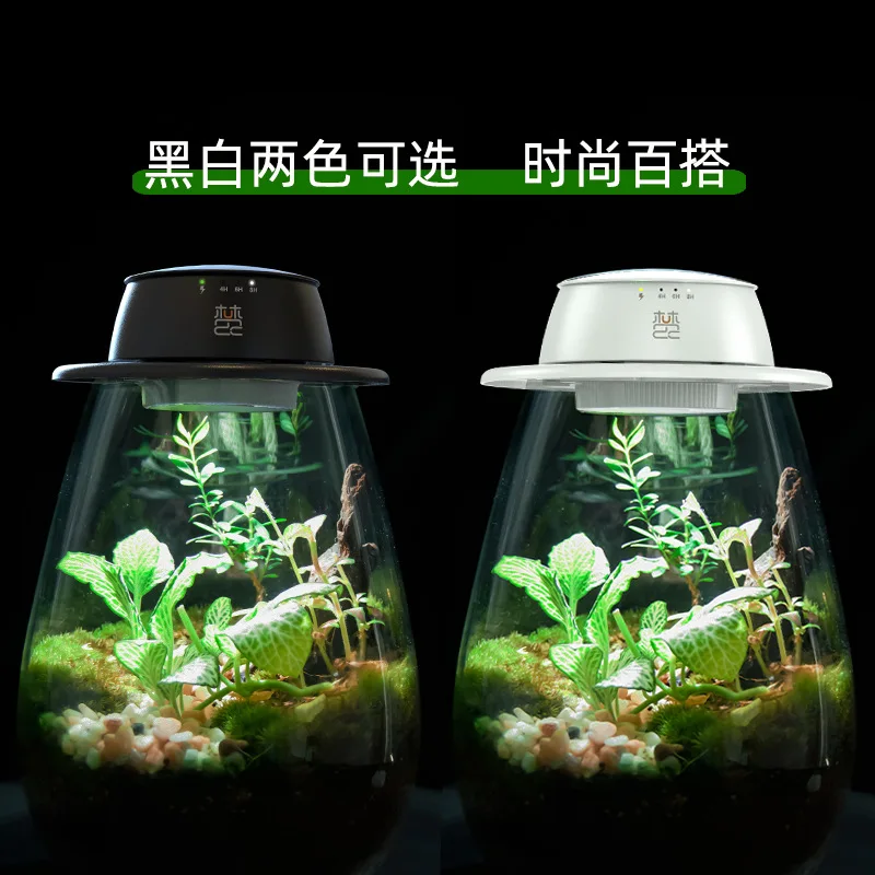 lampada-de-cultivo-recarregavel-de-espectro-completo-sem-fio-portatil-com-luz-solar-para-terrario-de-musgo-e-micro-paisagens
