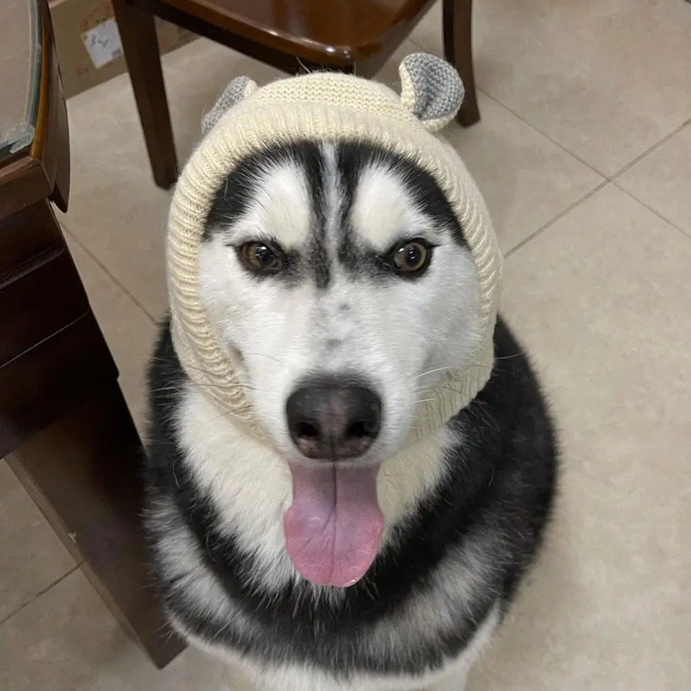 5 Color Pet Dog Hat Knitted Warm Hat Cute Dog Golden Fur Dog Husky Dog Large Dog Hood Pet Clothing Pet Supplies 2025