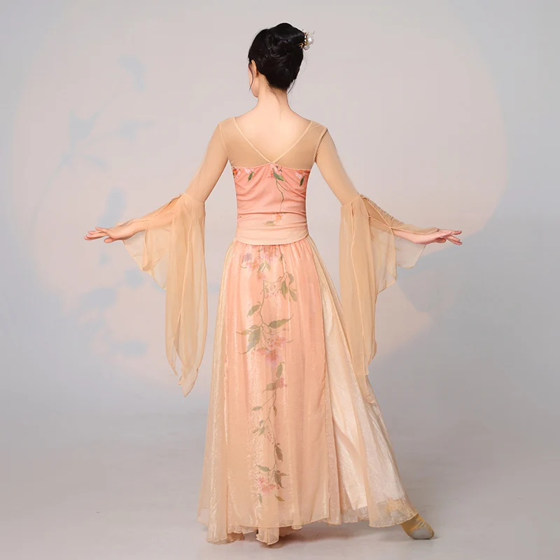 Nuovo costume di danza classica, abito di seta stile etereo e grazioso, Han e Tang, abito da allenamento e spettacolo di danza cinese