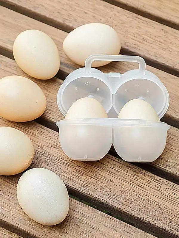 Portable Egg Storage Box 2 Grids Plastic Durable Egg Storage Container Save Space Refrigerator Egg Dispenser With Fixed Handle