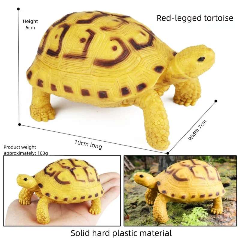 Oenux Simulations-Schildkröten-Set: Alligator, Galapagos-Schildkröte, Chinesische Weichschildkröte Figuren und Puppen – Detail 23