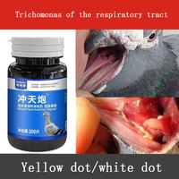 Homing pigeon racing pigeon Trichomonas respiratory tract yellow dots and white dots double-effect two-in-one