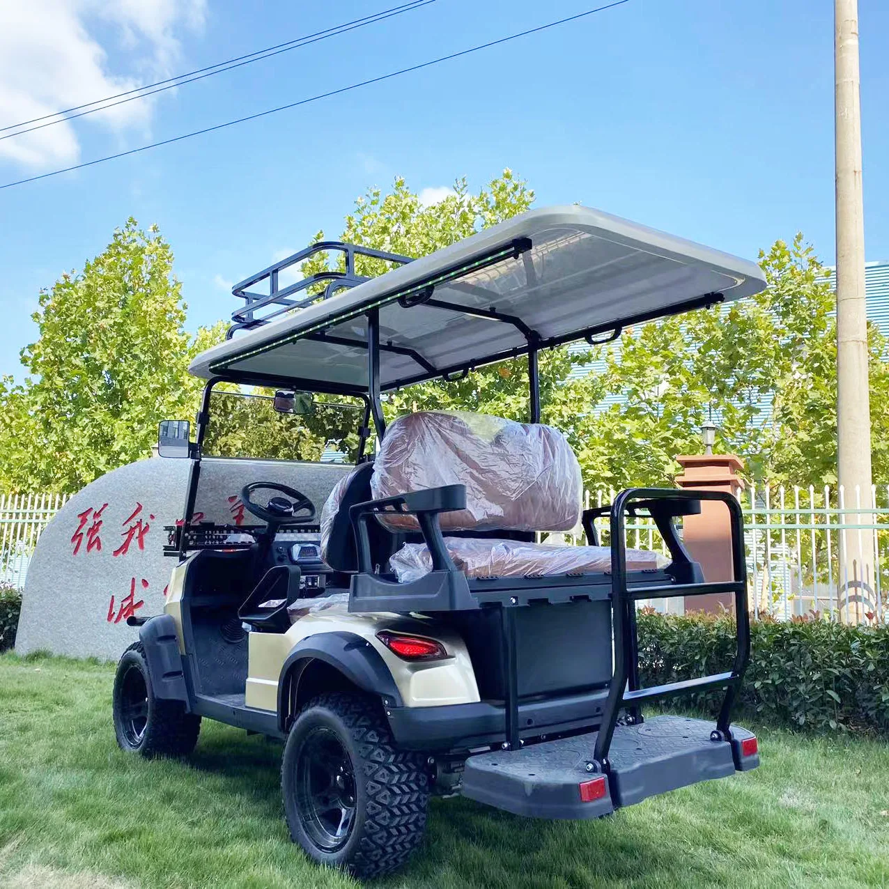 Hot CE approved 4 seats Golf Cart battery powered  Buggy for sale custom