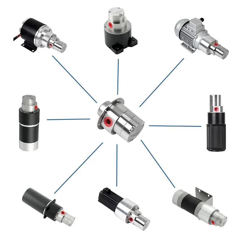 Stainless steel gear pump, magnetic drive controllable speed regulation miniature pulsless 24v mucus filling metering