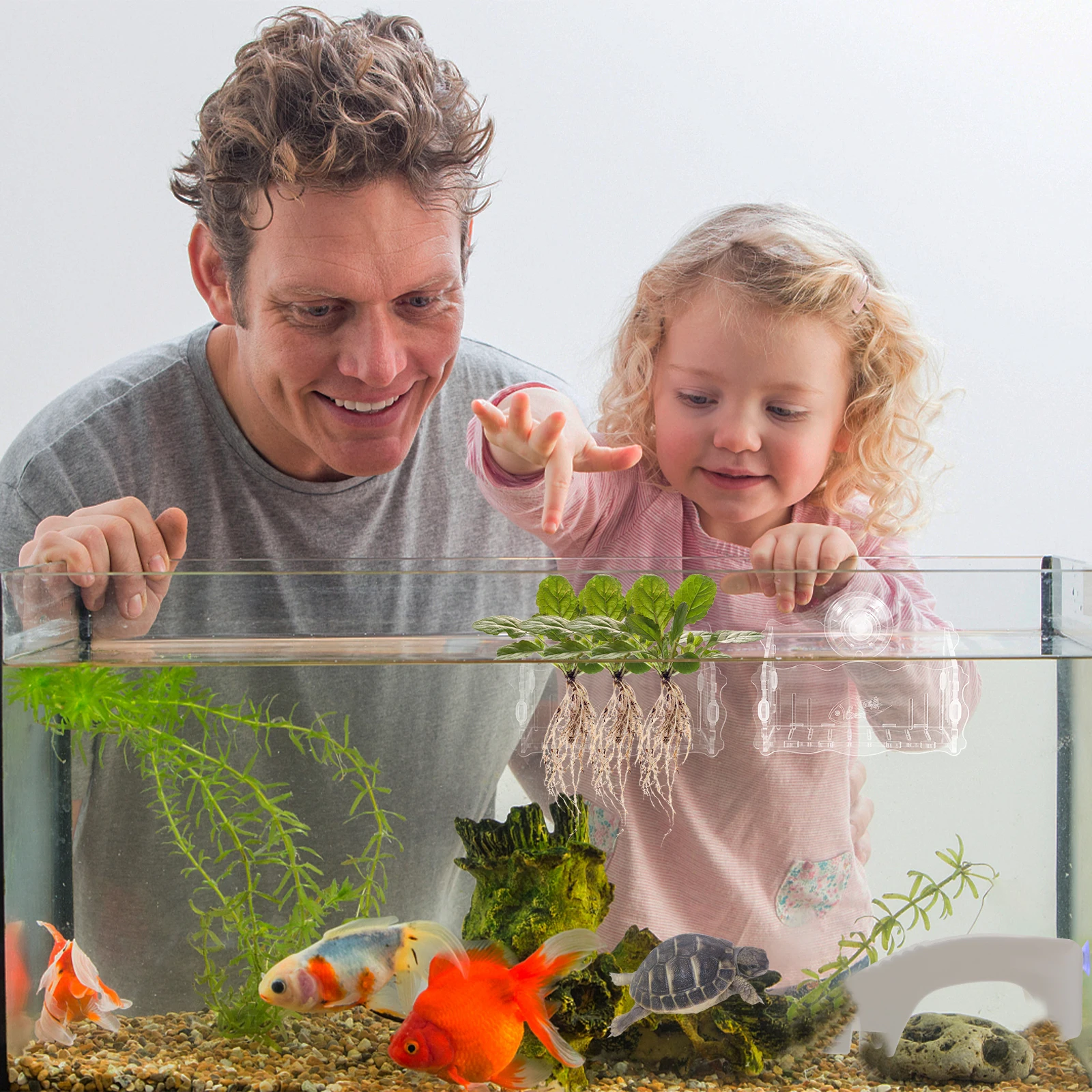 

Aquatic Plant Pot Wall Mount Plastic Planter Fish Tank Cup Aquarium Landscaping Holder Bowl Water Planting Basin