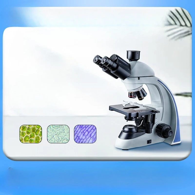 

High definition upright biological microscope, school laboratory specimen detection trinocular microscope