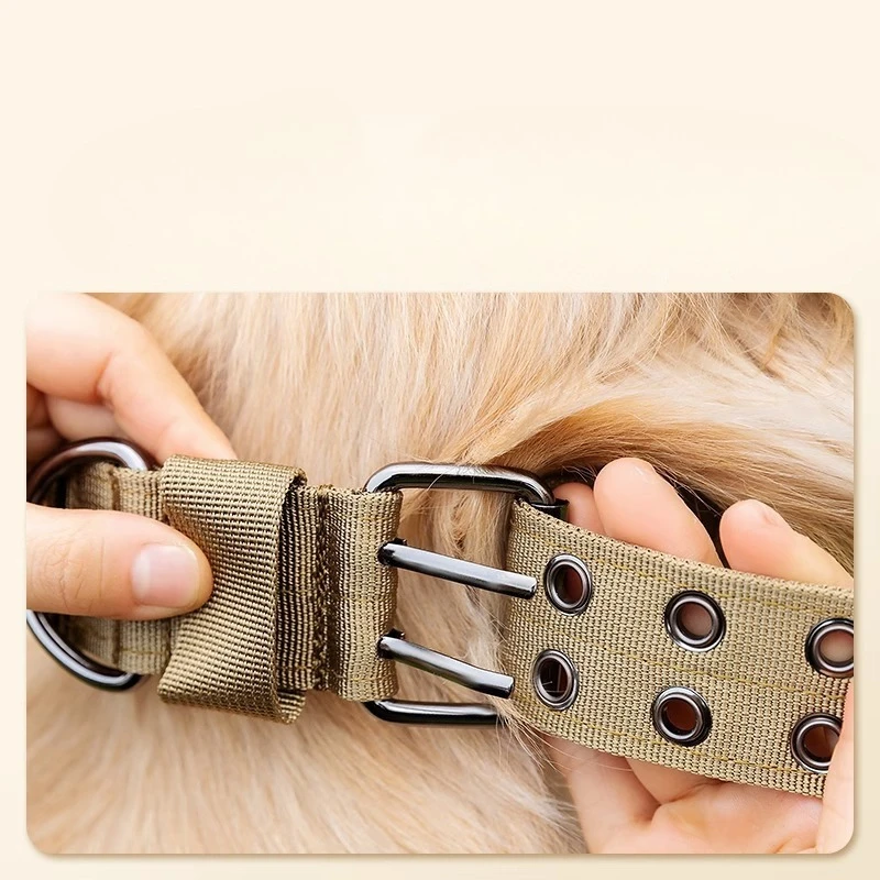 مستلزمات الحيوانات الأليفة ذات الياقة النايلون للكلاب المتوسطة والكبيرة تيدي كيجي بيتبول بولدوج بيغل