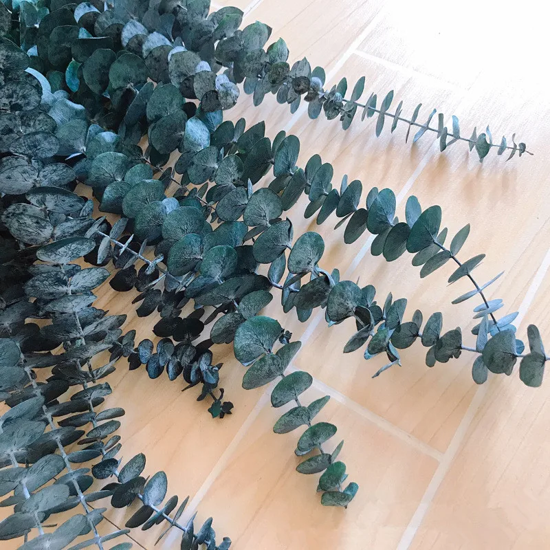 10pcs Natural Eucalyptus Leaves Dried Flower Bouquet Preserved Eucalyptus For Fall Vintage Wedding Party Home Decor Real Plant