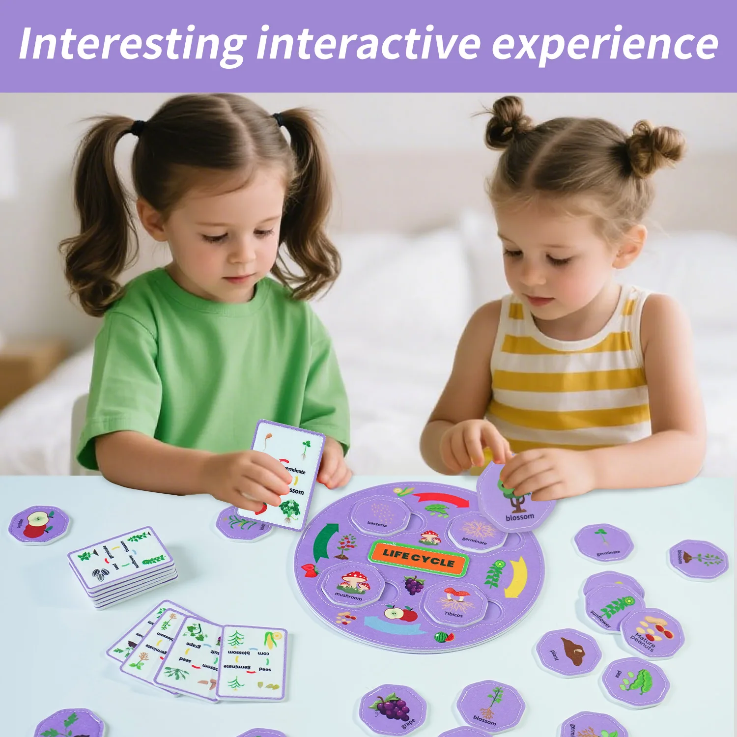 Plant life cycle teaching materials, biological science learning toys, long-term plant life cycle, school and home teaching aids