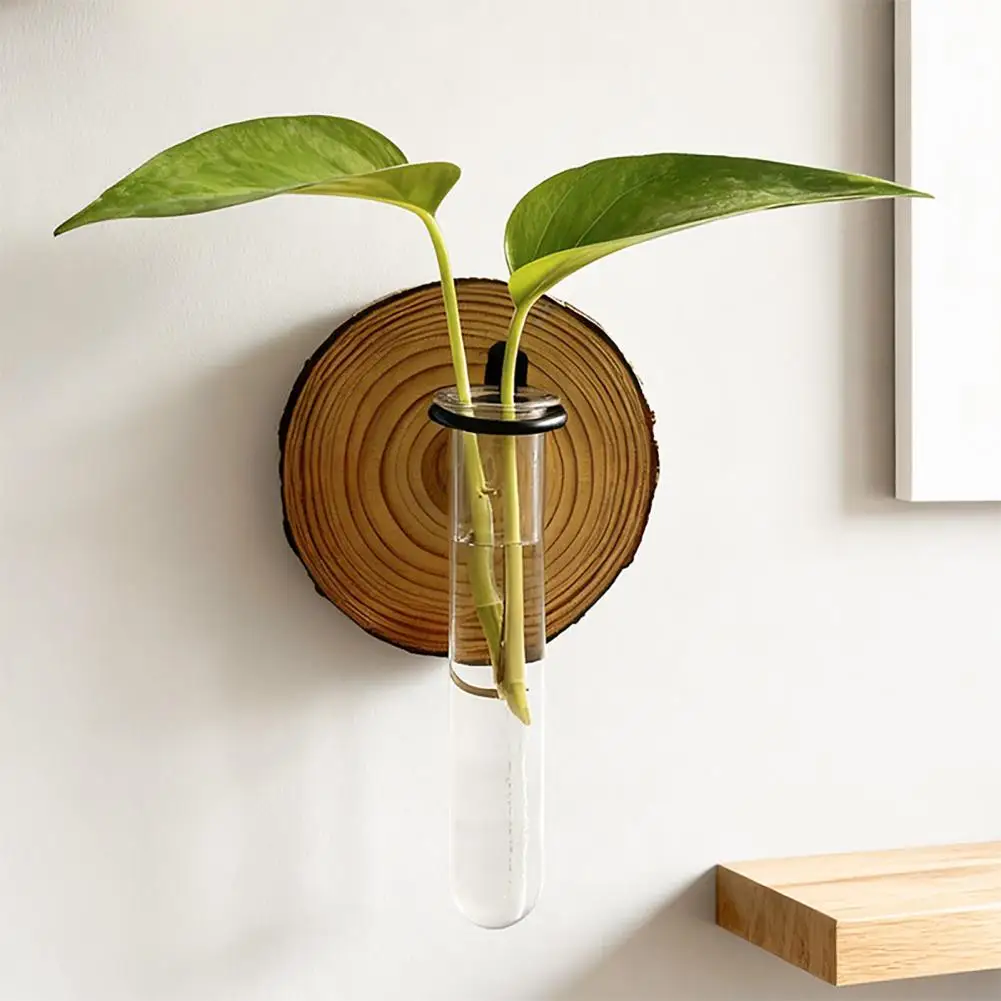 3 Pcs Wall-Mounted Vase Plant Terrarium Propagation Station Clear Cylinder Hanging Test Tube Planter Flower Vases