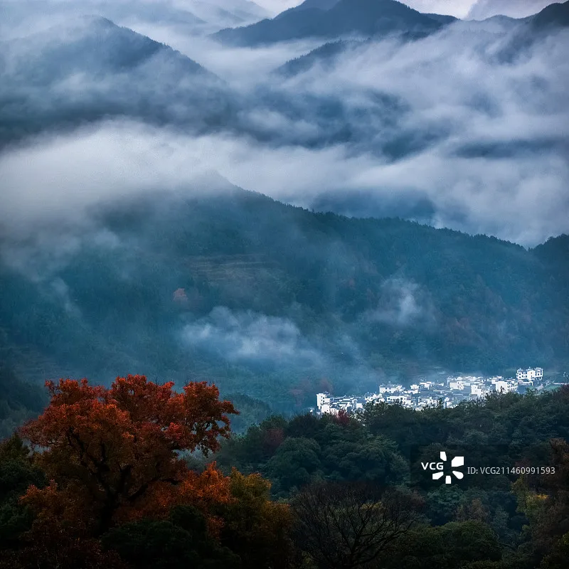 SpeedyBee F405 V5 Flight Controller & 50A ESC Stack | With Bluetooth WiFi App for Betaflight FPV Drone Racing