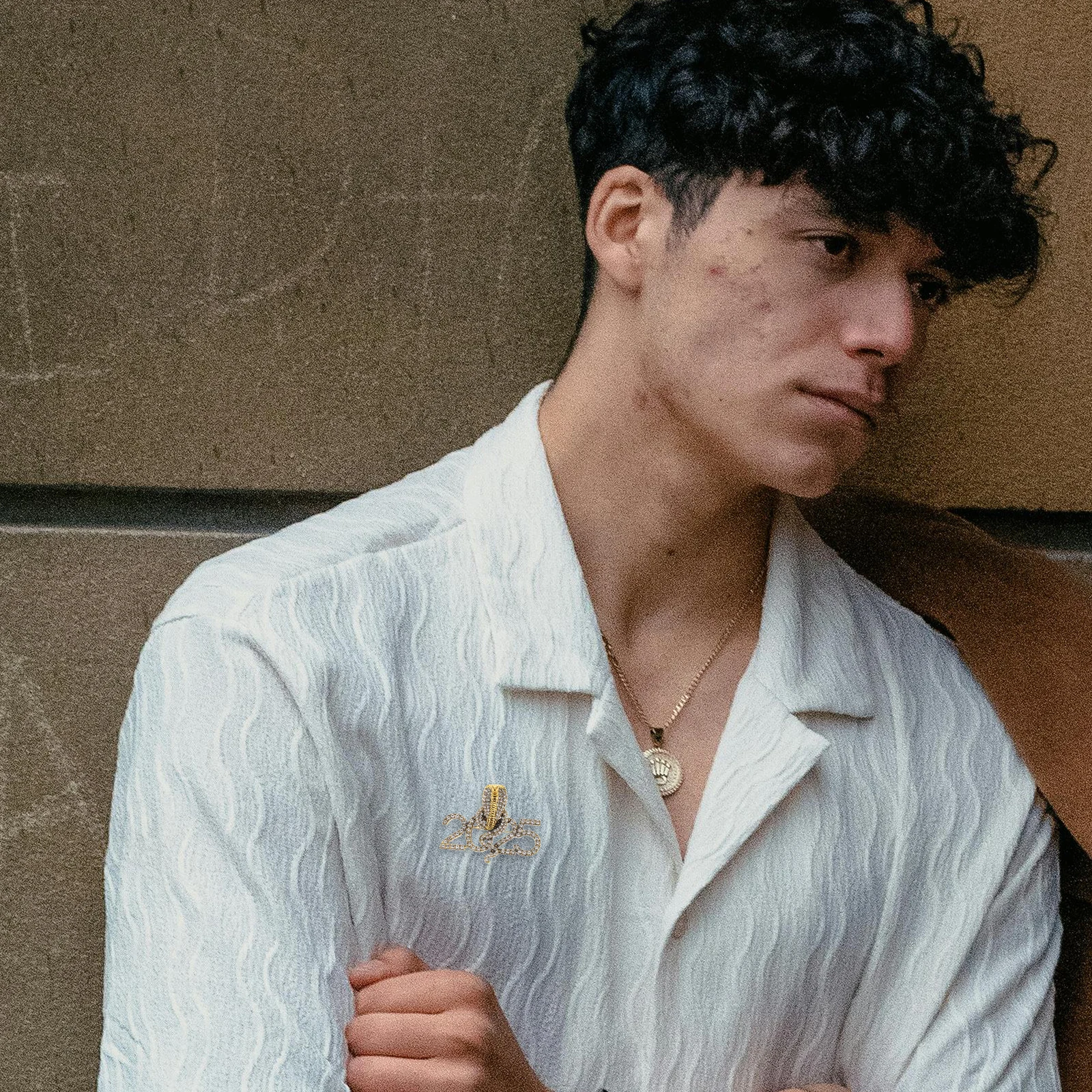 

Sophisticated Snake Brooch Pin Unique Fashionable Accent for Business Social Events Metal Lapel Pin Women Jewelry