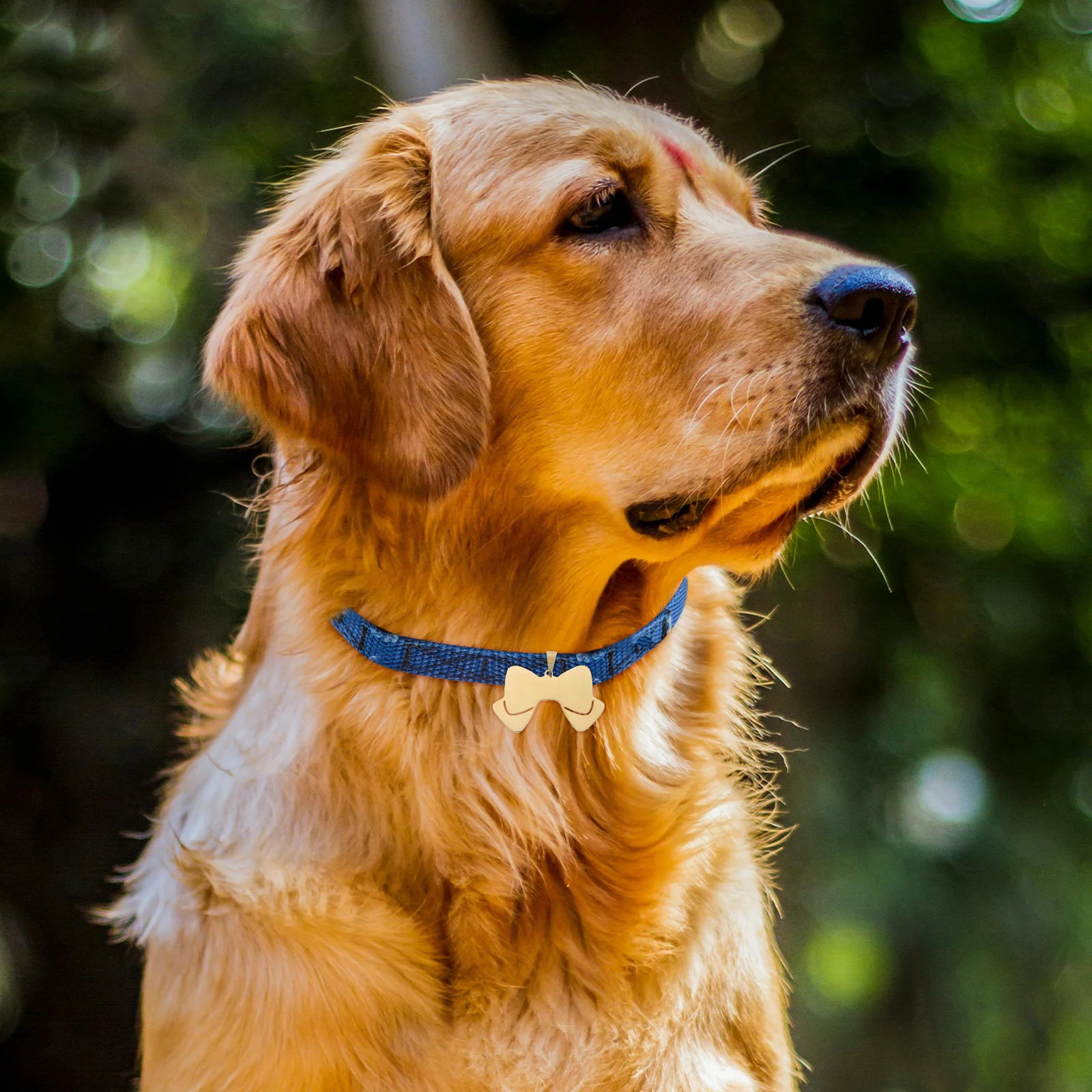 

5Pcs Stainless Steel Pet Id Tags Bow Shaped Blank DIY Dog Name Tags Lightweight Collar Accessories Dog Collar Name Tag